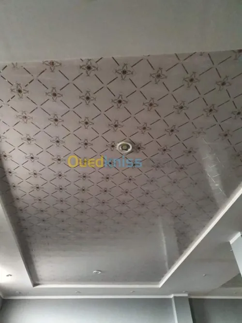 Travaux en placoplâtre BA13/PVC