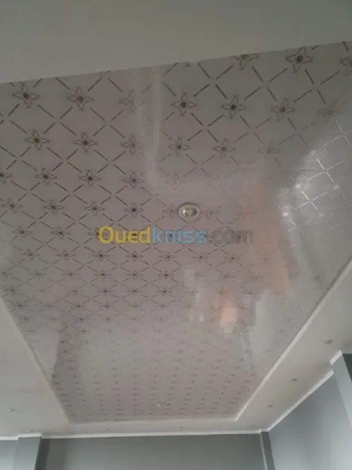 Travaux en placoplâtre BA13/PVC