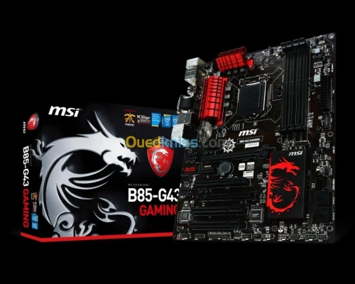 pc gamers