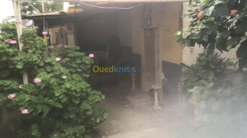 Vente Villa Alger Hussein dey