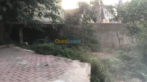 Vente Villa Alger Hussein dey