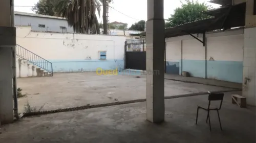 Vente Villa Alger Hussein dey