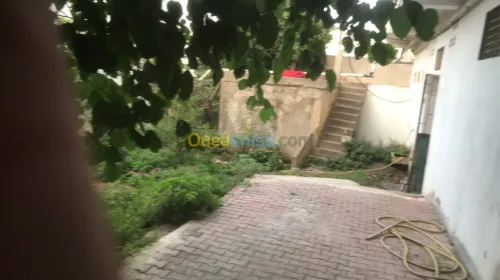 Vente Villa Alger Hussein dey