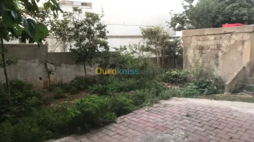 Vente Villa Alger Hussein dey