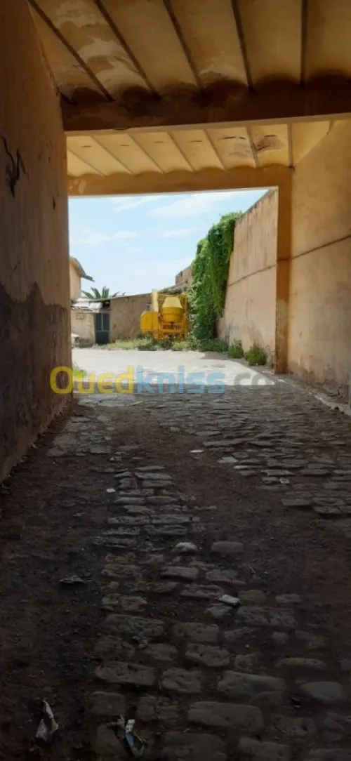 Vente Terrain Ain temouchent Ain temouchent