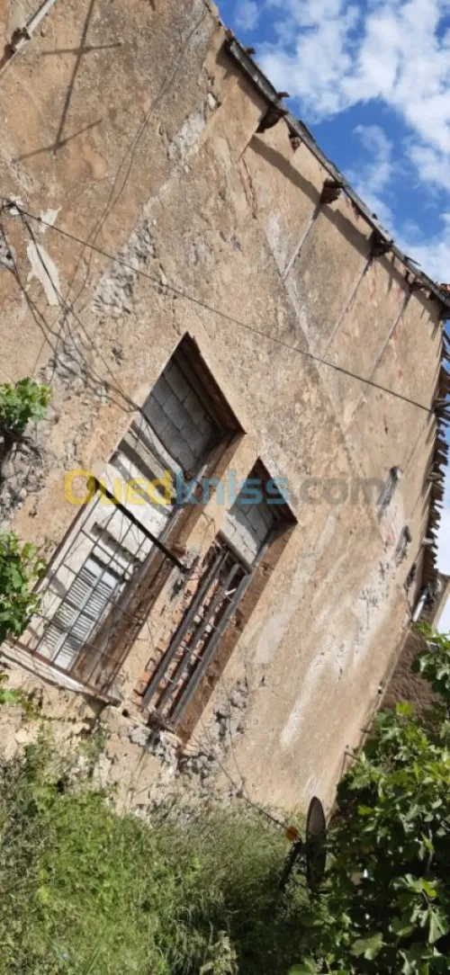 Vente Terrain Ain temouchent Ain temouchent