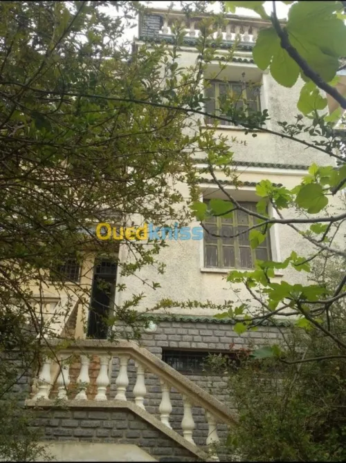 Vente Villa Alger Dely brahim