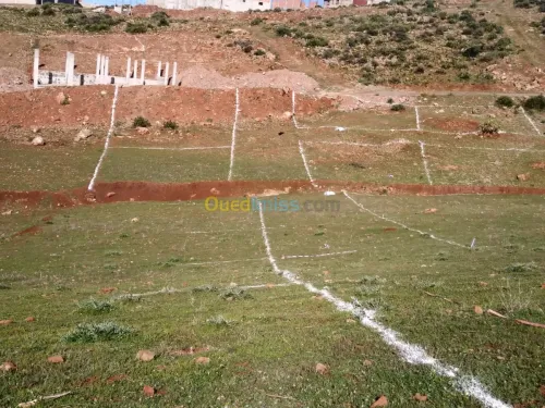 Vente Terrain Tlemcen Beni mester
