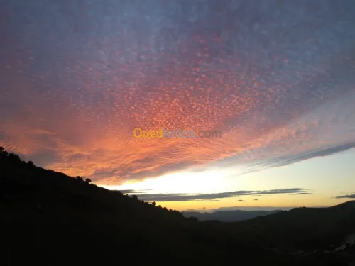 Vente Terrain Tlemcen Beni mester