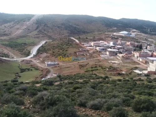 Vente Terrain Tlemcen Beni mester