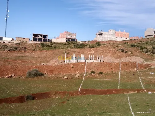 Vente Terrain Tlemcen Beni mester