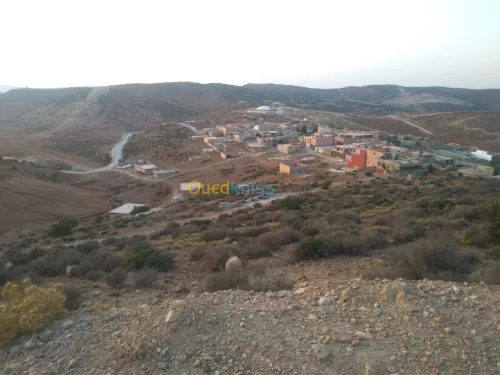 Vente Terrain Tlemcen Beni mester