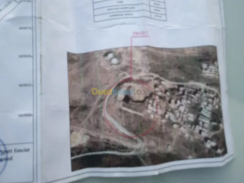 Vente Terrain Tlemcen Beni mester