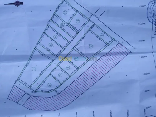 Vente Terrain Tlemcen Beni mester