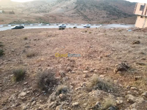 Vente Terrain Tlemcen Beni mester