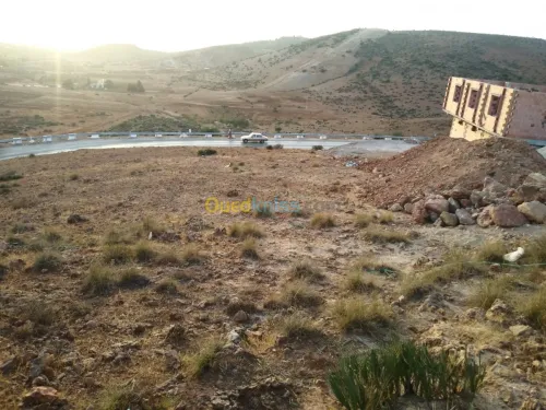 Vente Terrain Tlemcen Beni mester