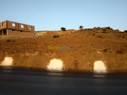 Vente Terrain Tlemcen Beni mester