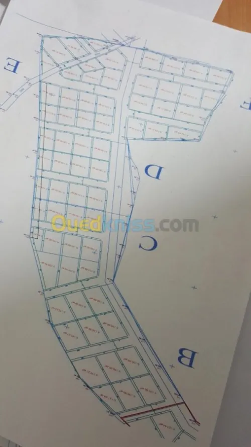 Vente Terrain Tlemcen Beni mester