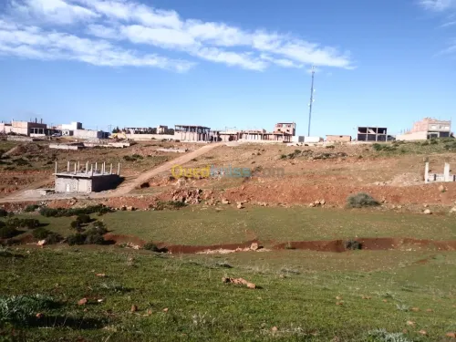 Vente Terrain Tlemcen Beni mester