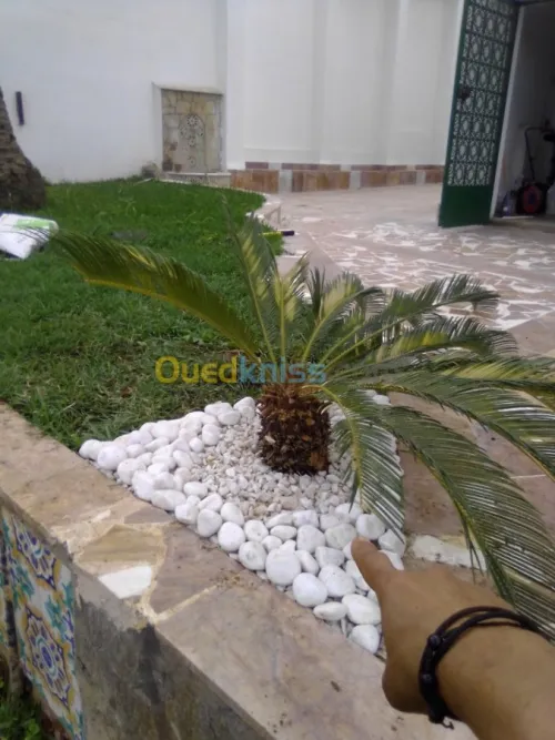 Nettoyage et jardinage