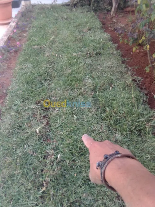 Nettoyage et jardinage