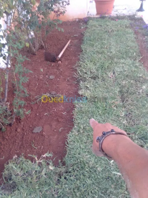 Nettoyage et jardinage