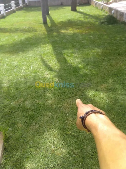 Nettoyage et jardinage