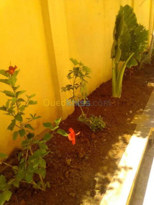 Nettoyage et jardinage