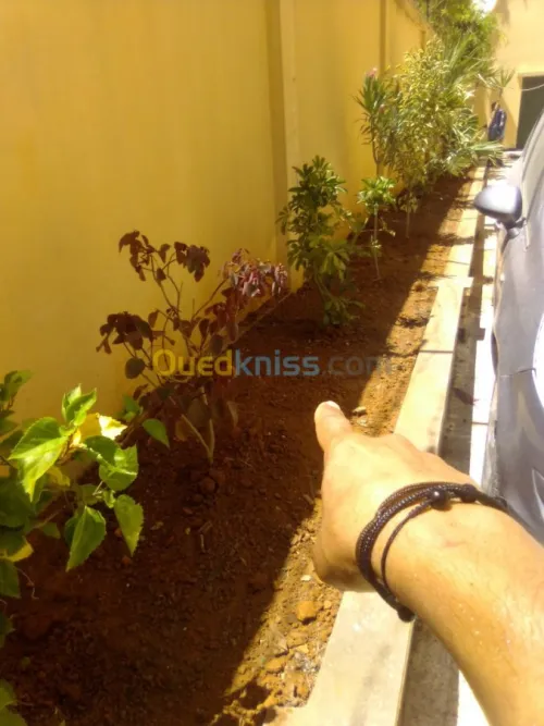 Nettoyage et jardinage