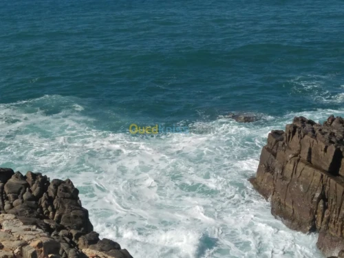 Vente Terrain Bejaia Bejaia