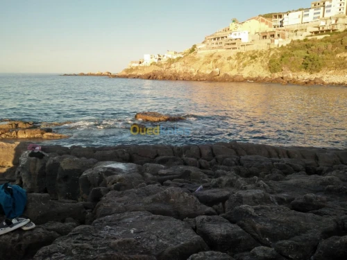Vente Terrain Bejaia Bejaia