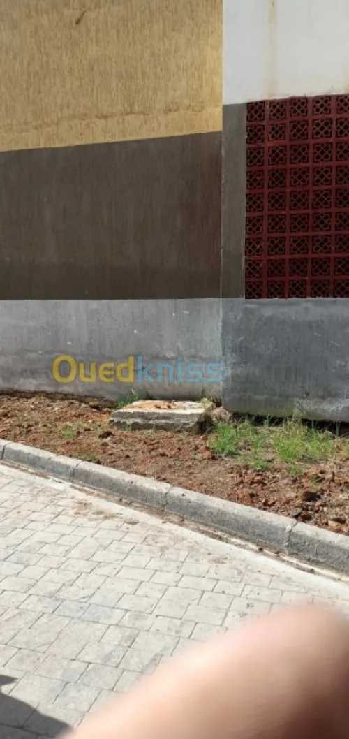 Echange Appartement F3 Alger Mahelma