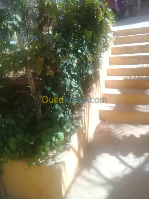 Vente Appartement F3 Tlemcen Chetouane