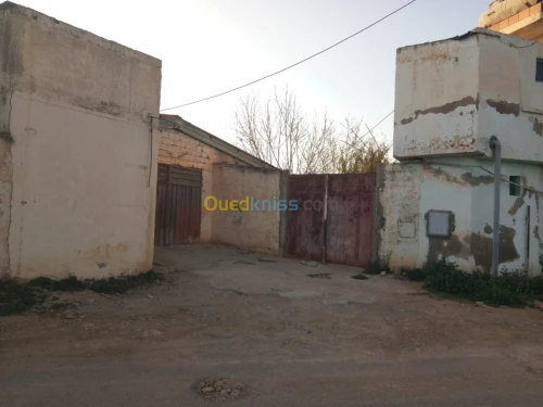 Vente Terrain Tlemcen Zenata