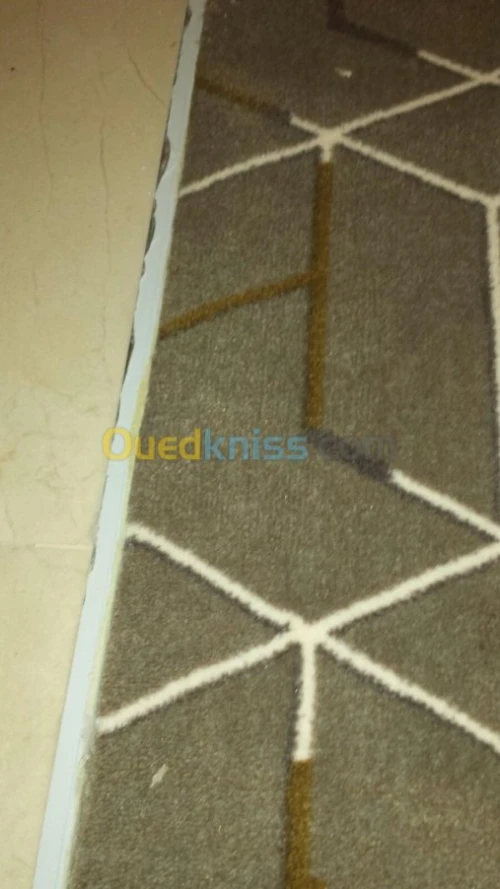 équipe pose gerflex moquette pvc antis