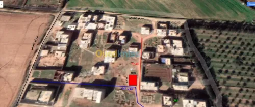 Vente Terrain Mostaganem Hassi maameche