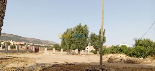 Vente Terrain Tlemcen Tlemcen