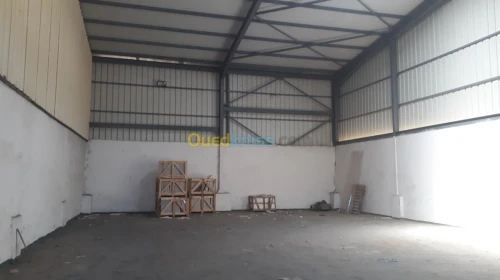 Location Hangar Alger Cheraga