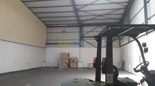 Location Hangar Alger Cheraga