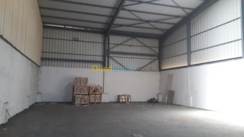 Location Hangar Alger Cheraga