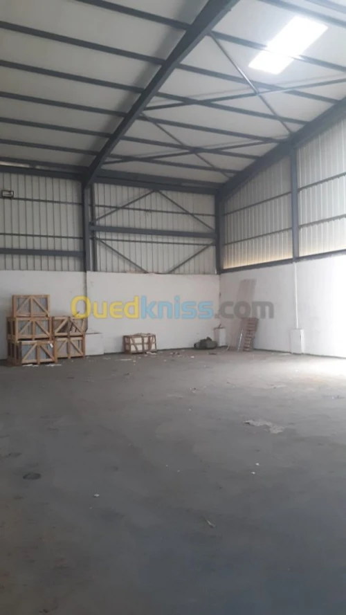 Location Hangar Alger Cheraga