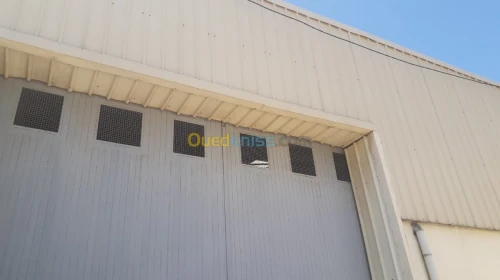 Location Hangar Alger Cheraga