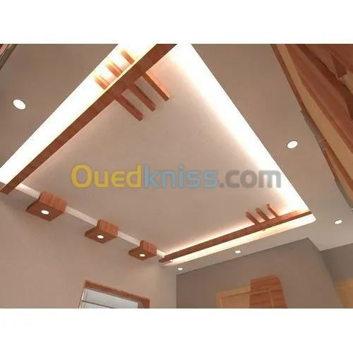 placo platr ba 13 et pvc