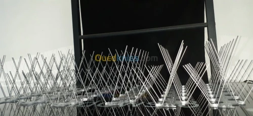 Dépigeonnage