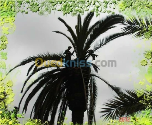 jardinage-élagage-abattage 