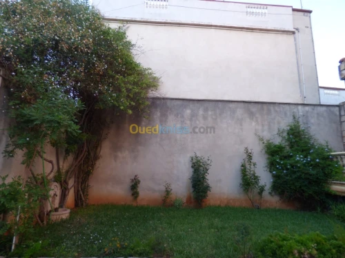 Location vacances Appartement F5 Alger Dely brahim