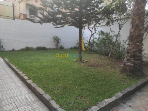 Location vacances Appartement F5 Alger Dely brahim