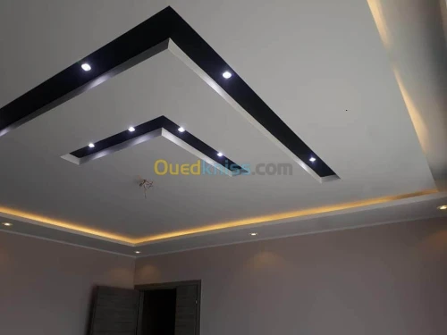 Placo platre . Plafond demontable .pvc