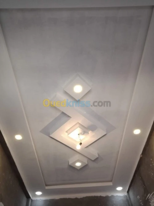 Placo platre . Plafond demontable .pvc