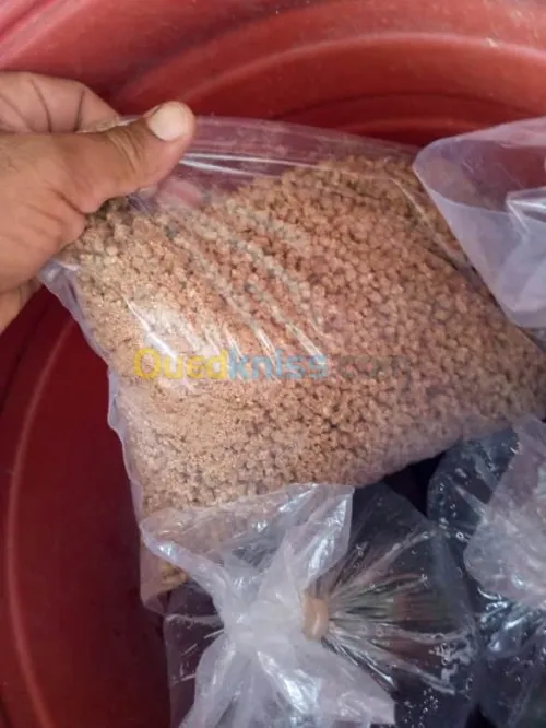بيع زريعة البلطي الاحمر واسماك الزينة